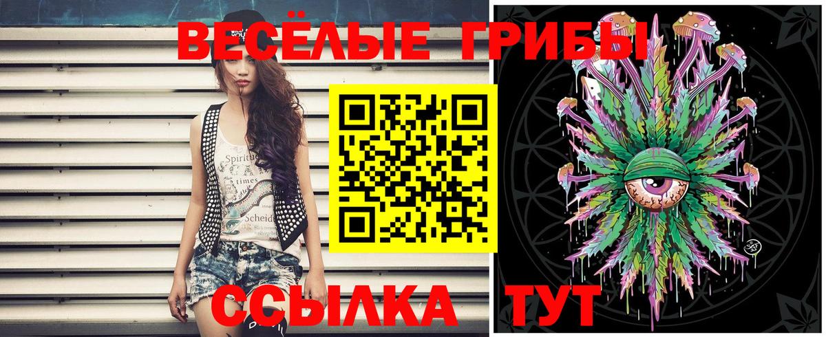 Альметьевск  Галлюциногенные грибы GOLDEN TEACHER  Вход с VPN 